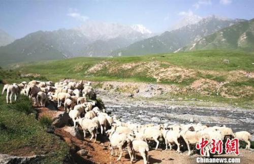 资料图：夏日的祁连山风景如画。 郎文瑞摄